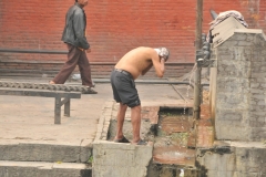 Bathing where ever they can