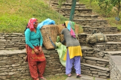 Our light daypacks were carried by ladies of a local village to earn extra money. I am glad we did not have to carry them.