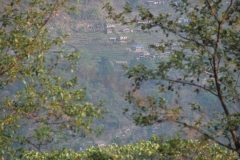 Homes scattered on the hill across the valley from the river and the lodge.