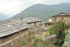 View across the valley of nearby homes
