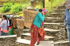 Walking up numerous stairs to just leave the lodge; then walking up several hills to just get to the main trail head and trekking back to the main road several miles with this on their backs.