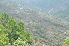 The road you see to the left is where we were trekking to the distance out of range of the photo