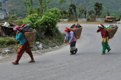We all arrive back to the main road the ladies carrying our day packs