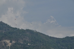Hang gliding above Lake Phewa with Fishtail Mountain in the background