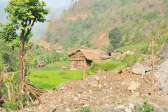 Local homes close by with fields of rice