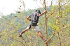 Our local guide climbs up a bush tree to show us a sticky fruit