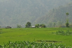 Beautiful countryside