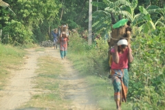 Gathering firewood to cook in the homes.