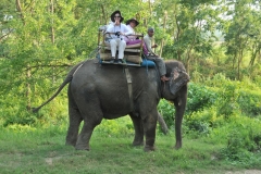Formerly, the Chitwan Valley was well known for big game hunting and until 1950 was exclusively managed as a hunting preserve for the Prime Ministers and their guests. In 1963 the area south of the Rapti River was demarcated as a rhinoceros sanctuary. In 1970 the Royal Chitwan National Park was created in principle by the late King Mahendra. Here you see Shelley, Ann and elephant handler riding a top an elephant.