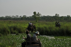 The park was designated as a World Heritage Site in 1984, the park covers a pristine area with a unique ecosystem of significant value to the world. It contains the Churiya hills, ox-bow lakes and flood plains of Rapti, Reu and Narayani rivers.