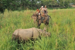 A perch on the back of an elephant affords a perfect vantage point to view all that this area has to offer.