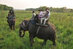 This is a once in a life time thrill perched atop these magnificent animals looking over the preserve at sunset.