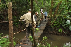 Walking through forest and jungle areas over a rickety bridge
