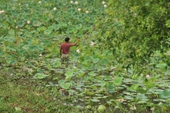 That is an expensive fishing pole. Really are there fish in there?