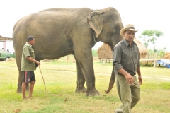 Explanation of the handler and the elephant. Our local hotel guide was with us on the canoe and jungle walk as well as the elephant washing. One evening he spent an hour explaining the ecology and enviromental protection of the Chitwan Park and the animals. Very interesting.