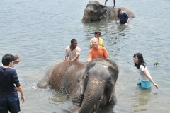 We had a fun morning today to take part in washing elephants in the river. What a hoot.