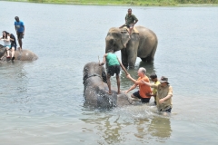 So you think it is easy to climb up on an elephant in a river?