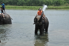 Then it was the elephants turn to wash each of us on top of the elephants.