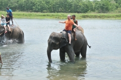 I challenge your elephant to my elephant in a race.