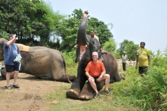 This elephant loves to tell a joke