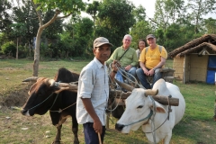 Ox cart ride to Tharu Village