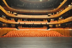 Looking from the Stage back up into the audience area seating.
