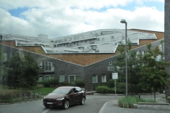 Home developments with Moss roofs.