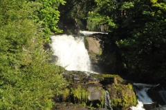 Walking along one of the meandering streams within the city.
