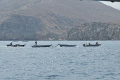 Running boats used for illegal trips to Iran