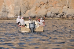 At least they are friendly