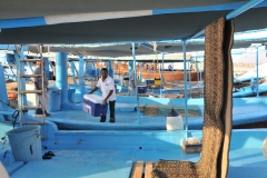 Walking across Dhow to Dhow to leave the dock