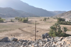 Lush Bedouin Village located at 3,000 foot elevation. Village of Sayah