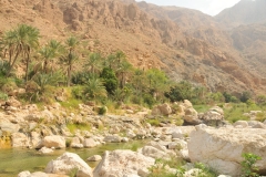 Wadi - lush areas with streams and fauna.