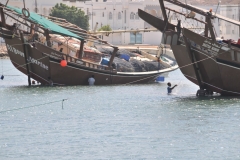 Workers working on the dhows in the water at low tide