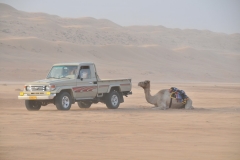 Love this photo.. the two types of desert transportation