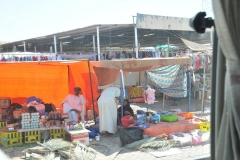 Living within a close radius are over 3,000 pastoral Bedouins belonging to different tribes, who are primarily herders of goats and camels.