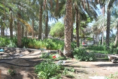 We stop by the home and farm of Masoud, our local guide. His family brothers and sisters all live in close proximity. They refer many times to themselves as their tribes.