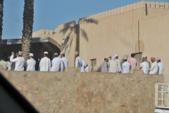 Weekly Livestock Market Nizwa
