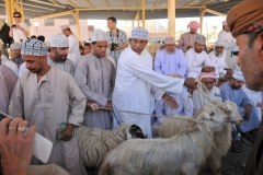 As you can see there are many things all going on at the same time.