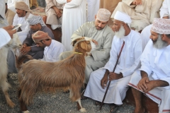 Checking out the product