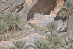 An Oasis in the mountains