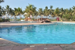 Salalah, Oman is our last city to visit on our Middle East Trip