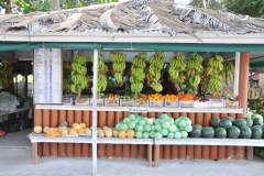 Stopped for coconut juice from the coconut