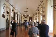 This room was trophies from the hunting nearby.