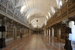 This is the huge library with 30,000 books, embellished with marble, exotic woods and countless artworks taken from France, Flanders and Italy,