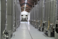 We were very fortunate to sample reds and white wines from the Quinta da  Almiara winery,  Very good wines. In addition we had a delightful lunch overlooking the vineyards surrounding the winery.  Later we had  a tour of the winery.
