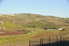 Departing the winery through rolling hills of grapes and agriculture.  A great day in the Portuguese countryside.