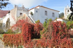 Across the narrow street from the market in Monchique a white washing home with beautiful colored plants.