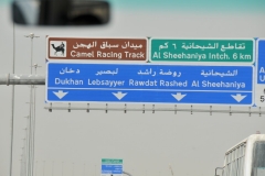We are headed for the Camel racing