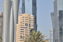 DSC_7449